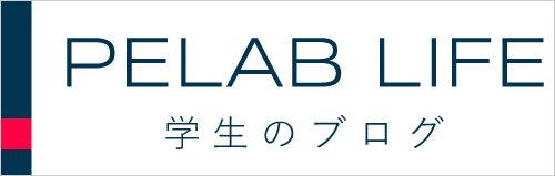 学生ブログ
